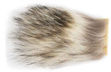 Badger