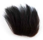Black Bear