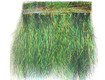 Ice Dub Minnow Back Shimmer Fringe