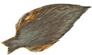 Hebert and Whiting Hen Capes