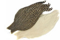 Whiting Hen Capes