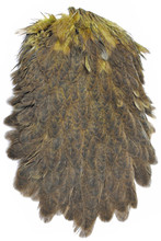 Whiting Brahma Hen Saddles