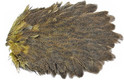 Whiting Brahma Hen Saddles