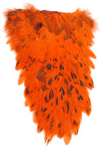 Indian Hen Saddle Patches