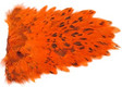 Indian Hen Saddle Patches