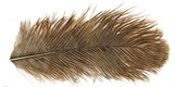 Mini Ostrich Plumes