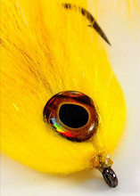Living Eyes