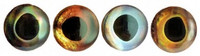 Living Eyes