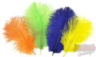 Ostrich Spey Plumes