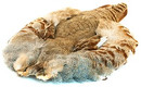 No. 1 Natural Half Skin Partridge