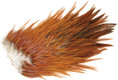 Indian Rooster Saddle Patch