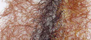 Rubber Bugger Hackle