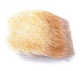 Antelope Hair