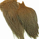Genetic Dry Fly Saddles