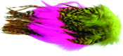 Strung Rooster Saddle, Dyed Over White