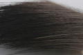 Moose Body Hair