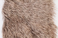 Premo Elk Strips