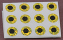 Adhesive Eyes