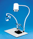 Giraffe Desk Lamp and Magnifier