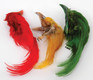 Golden Pheasant Crests