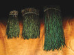 Natural Strung Peacock Herl, Small Pack