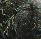 Holographic Cactus Chenille