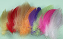 Dyed Mallard Fine Barred Flank