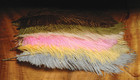 Ostrich Plumes