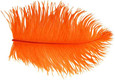 Ostrich Plumes UV2