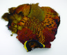 Ringneck Pheasant Skins