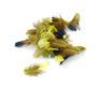 Exotic Feather Substitutes
