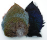 Ringneck Pheasant Rump Patch