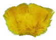 Turkey Flats