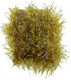 UV Estaz Chenille