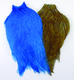 Whiting American Rooster Capes