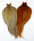 Hebert Miner Rooster Capes, Silver Grade