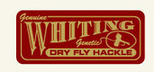 Whiting Feathers