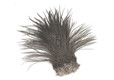 Metz Rooster Saddles, Grade 1